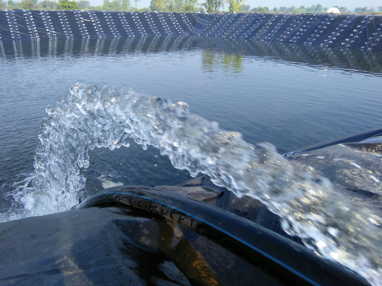 T-Rex Geomembrane Image