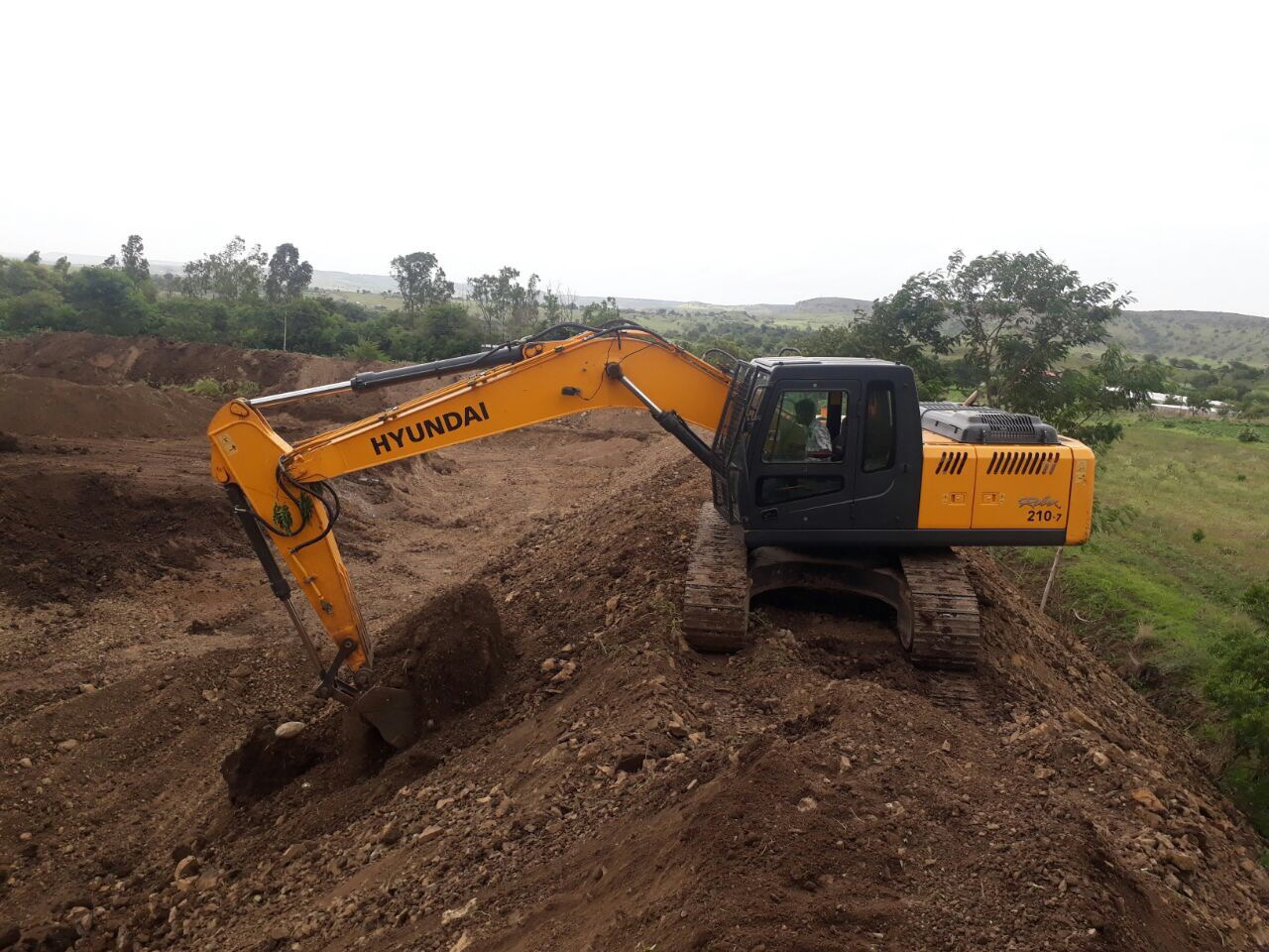 T-Rex Geomembrane Image