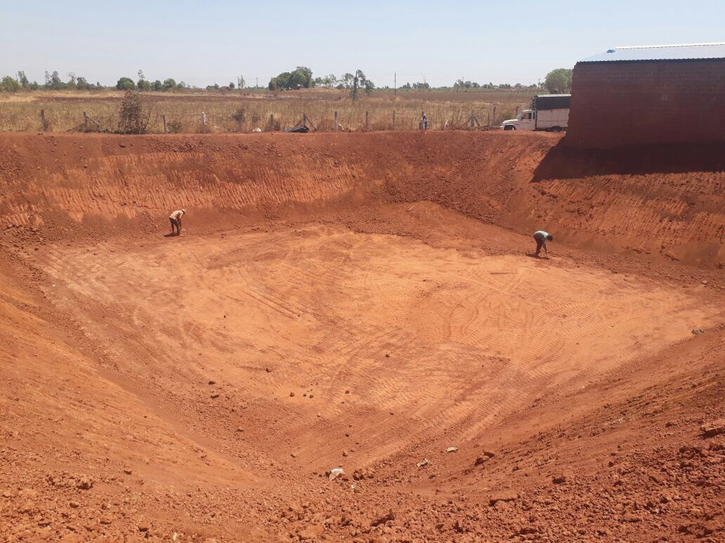 T-Rex Geomembrane Image